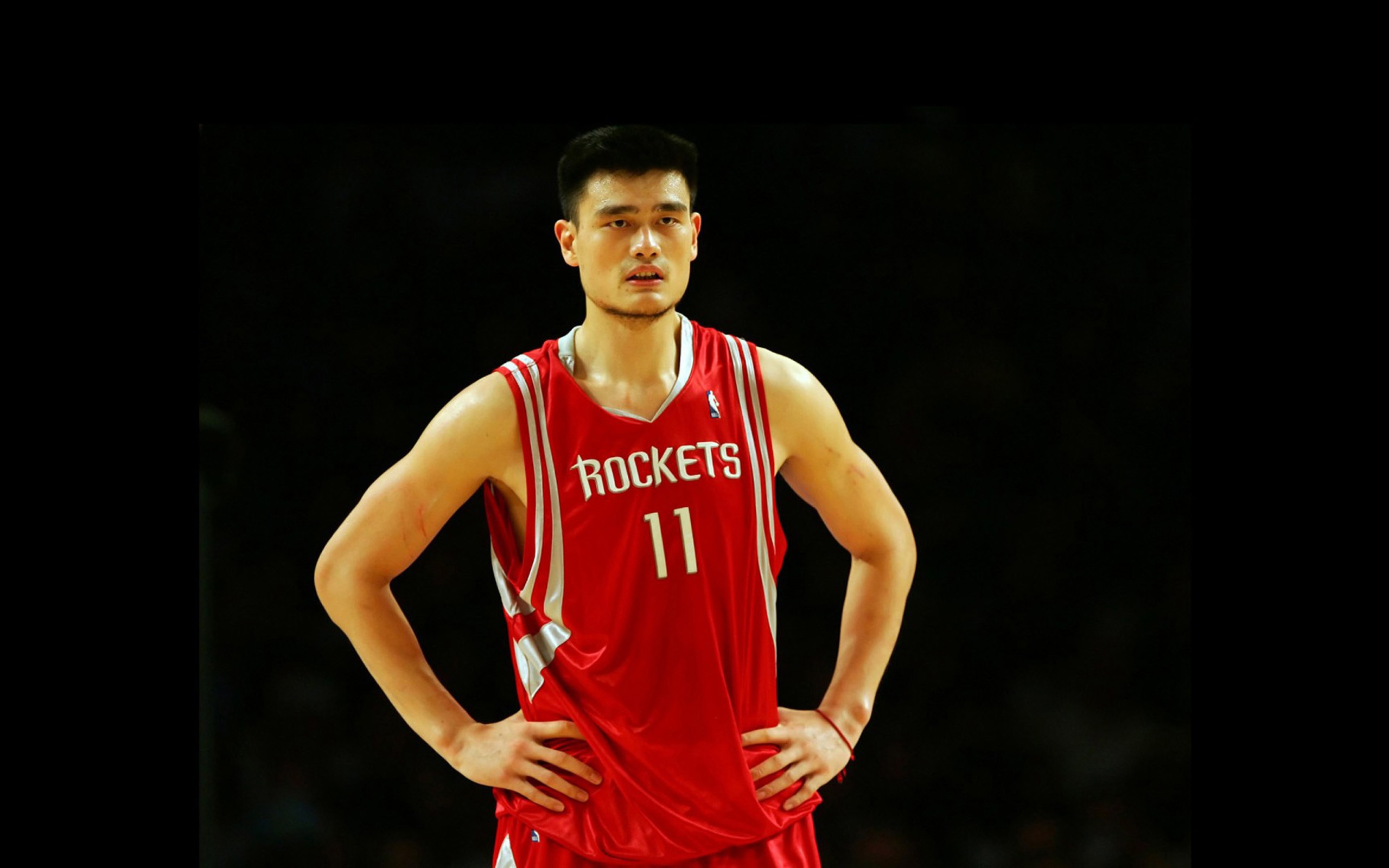 yao ming bola basket